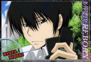 家教白蘭或云雀頭像